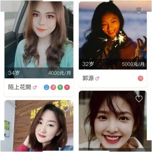 濮网最新爆料,揭秘神秘事件背后真相！